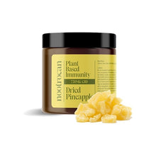 Load image into Gallery viewer, A jar labeled &quot;Nootrocan 750mg Full Spectrum CBD Nootropic Dried Fruits - 300g&quot; is placed against a white background. Next to the jar is a small pile of vegan-friendly dried pineapple chunks. The jar has a black lid and yellow-green label displaying the brand name, &quot;Nootrocan.
